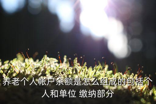 養(yǎng)老個(gè)人帳戶(hù)余額是怎么組成的包括個(gè)人和單位 繳納部分