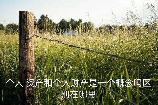 個人 資產和個人財產是一個概念嗎區(qū)別在哪里