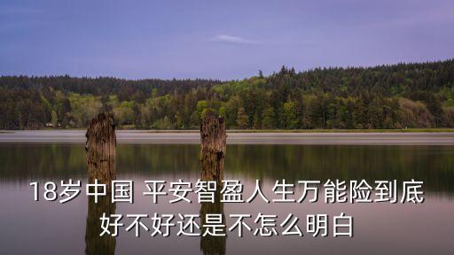 中國平安60億血本無歸原文