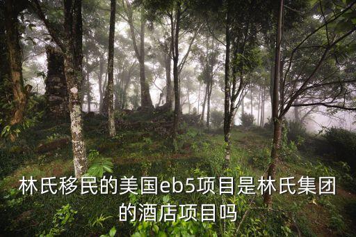 林氏移民的美國(guó)eb5項(xiàng)目是林氏集團(tuán)的酒店項(xiàng)目嗎