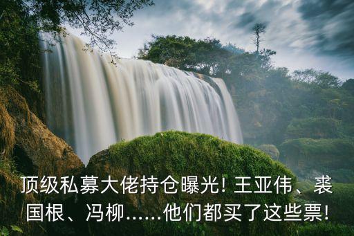 頂級(jí)私募大佬持倉(cāng)曝光! 王亞偉、裘國(guó)根、馮柳……他們都買(mǎi)了這些票!