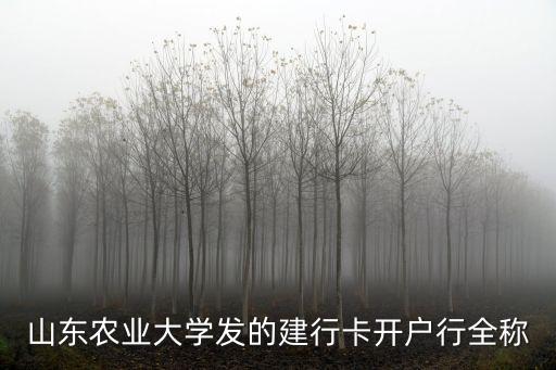 山東農(nóng)業(yè)大學(xué)發(fā)的建行卡開(kāi)戶行全稱