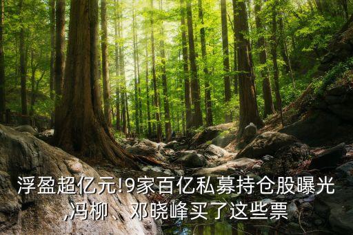 浮盈超億元!9家百億私募持倉(cāng)股曝光,馮柳、鄧曉峰買(mǎi)了這些票