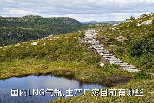 國內LNG氣瓶,生產廠家目前有哪些