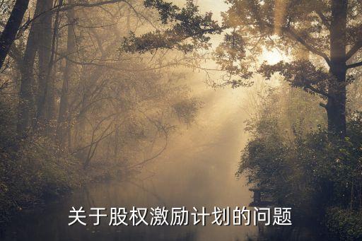 關(guān)于股權(quán)激勵(lì)計(jì)劃的問題