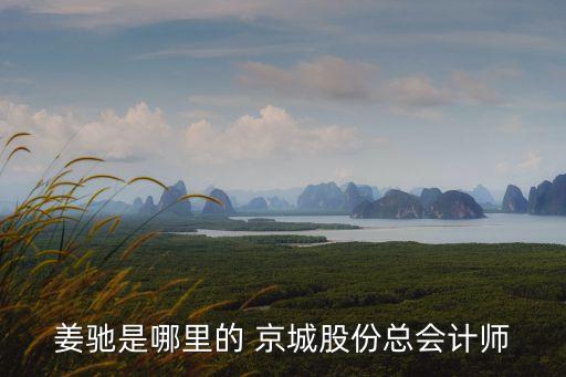 姜馳是哪里的 京城股份總會計(jì)師