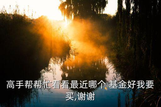 高手幫幫忙看看最近哪個(gè) 基金好我要買(mǎi),謝謝
