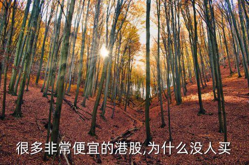 很多非常便宜的港股,為什么沒(méi)人買