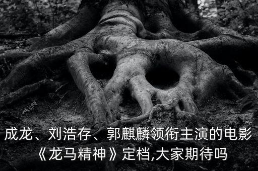 成龍、劉浩存、郭麒麟領(lǐng)銜主演的電影《龍馬精神》定檔,大家期待嗎