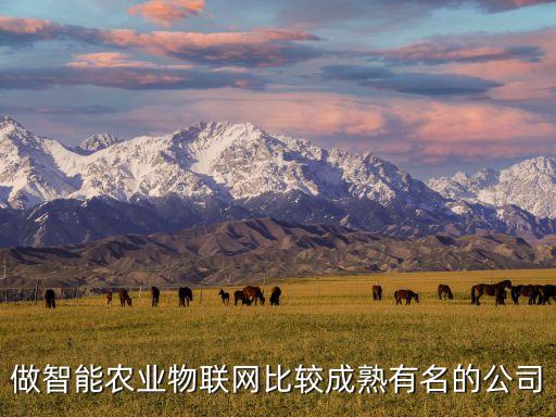 做智能農業(yè)物聯網比較成熟有名的公司