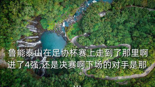 魯能泰山在足協杯賽上走到了那里啊進了4強,還是決賽啊下場的對手是那...
