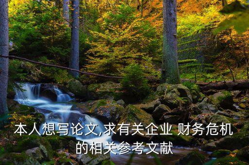 中國上市公司財(cái)務(wù)風(fēng)險(xiǎn)預(yù)警模型的建立吳勤