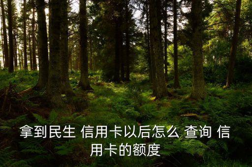 民生銀行信用卡怎么查詢欠款,民生信用卡欠款10萬(wàn)逾期暫時(shí)還不上
