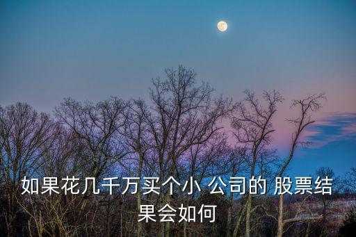 如果花幾千萬買個(gè)小 公司的 股票結(jié)果會(huì)如何