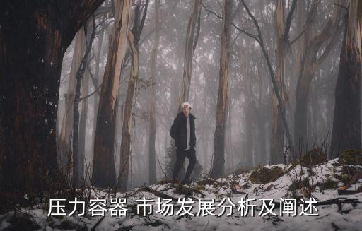 中國市場(chǎng)壓力,中國小學(xué)生的壓力