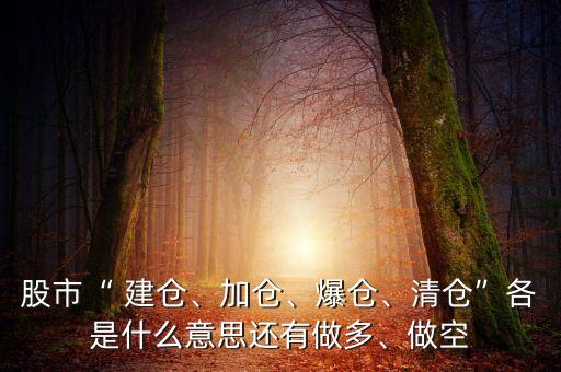 股市“ 建倉(cāng)、加倉(cāng)、爆倉(cāng)、清倉(cāng)”各是什么意思還有做多、做空