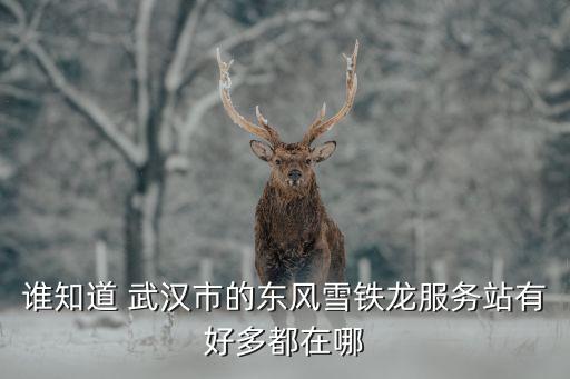 誰知道 武漢市的東風雪鐵龍服務(wù)站有好多都在哪