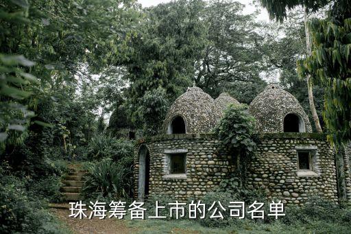  珠?；I備上市的公司名單