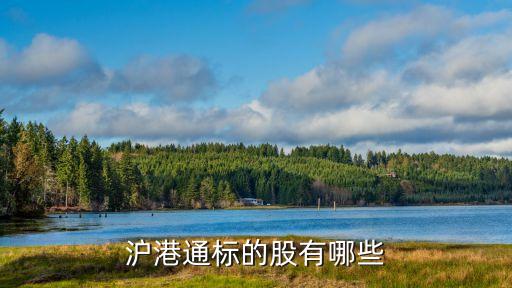 上海盈勵(lì)實(shí)業(yè)有限公司,廈門(mén)勵(lì)盈實(shí)業(yè)有限公司