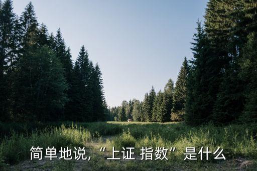 簡(jiǎn)單地說,“上證 指數(shù)”是什么