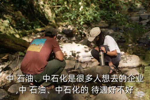 中 石油、中石化是很多人想去的企業(yè),中 石油、中石化的 待遇好不好