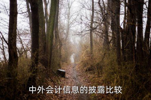 中外會計信息的披露比較