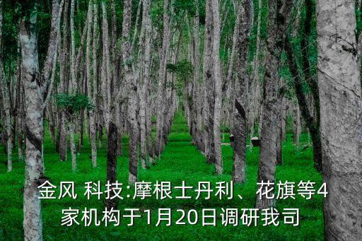 金風 科技:摩根士丹利、花旗等4家機構(gòu)于1月20日調(diào)研我司