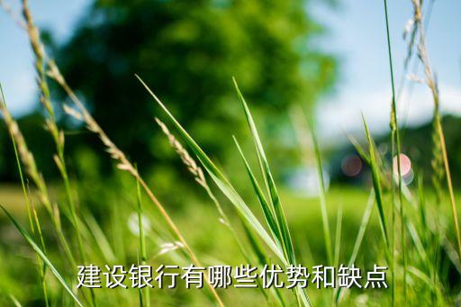  建設銀行有哪些優(yōu)勢和缺點