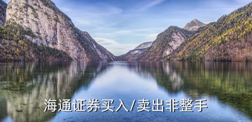 葡萄牙圣靈銀行的主營業(yè)務(wù)