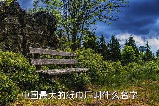 中國(guó)最大的紙巾廠叫什么名字