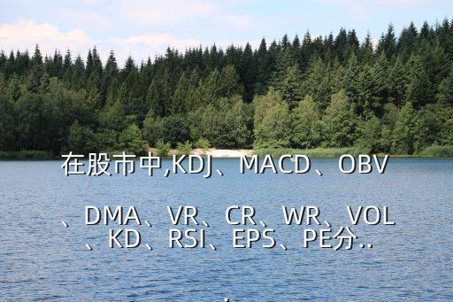 在股市中,KDJ、MACD、OBV、DMA、VR、CR、WR、VOL、KD、RSI、EPS、PE分...