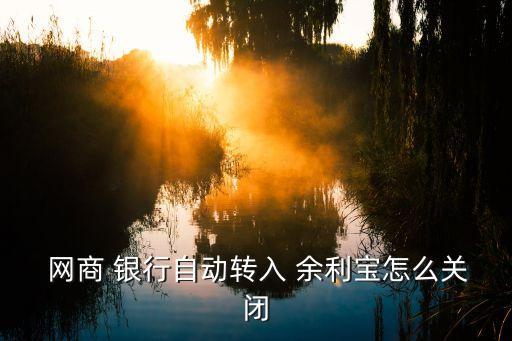  網(wǎng)商 銀行自動轉(zhuǎn)入 余利寶怎么關閉