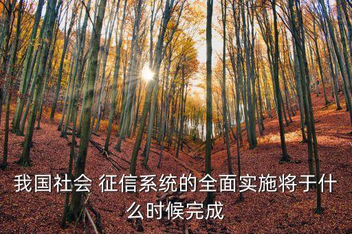 我國(guó)社會(huì) 征信系統(tǒng)的全面實(shí)施將于什么時(shí)候完成