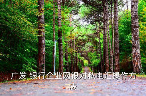  廣發(fā) 銀行企業(yè)網(wǎng)銀對(duì)私電匯操作方法