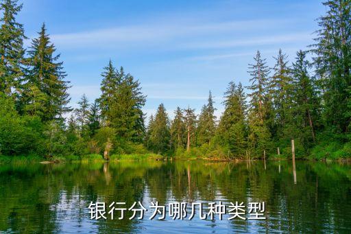 外國(guó)銀行的分類,哪個(gè)銀行可以換外國(guó)錢