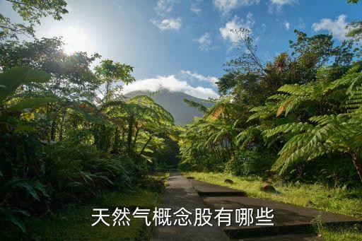 天然氣公司股票,中國(guó)天然氣公司股票有哪些