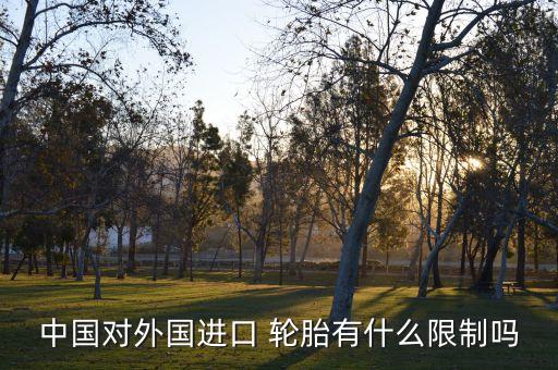 中國對外國進(jìn)口 輪胎有什么限制嗎