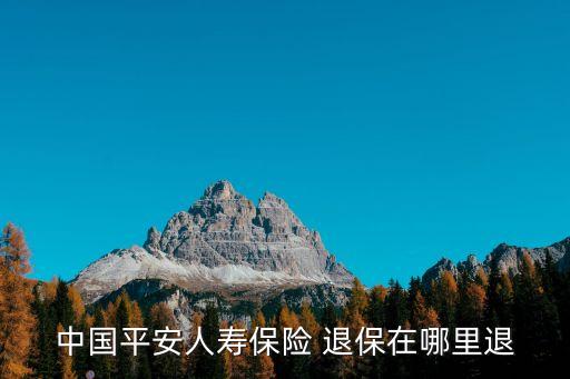 中國(guó)平安人壽保險(xiǎn) 退保在哪里退