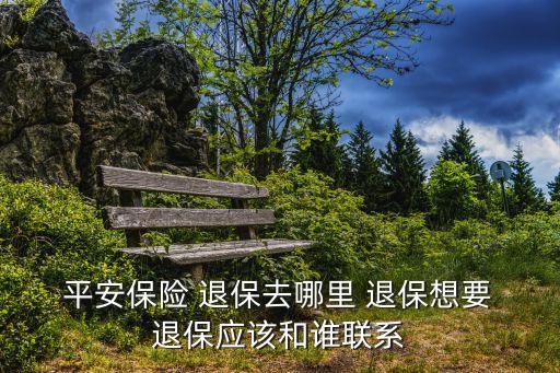  平安保險(xiǎn) 退保去哪里 退保想要 退保應(yīng)該和誰(shuí)聯(lián)系