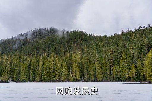  網(wǎng)購(gòu)發(fā)展史