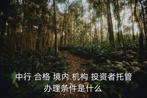 中行 合格 境內(nèi) 機構(gòu) 投資者托管辦理條件是什么