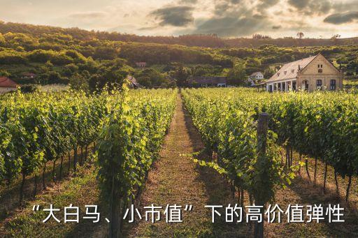 “大白馬、小市值”下的高價(jià)值彈性