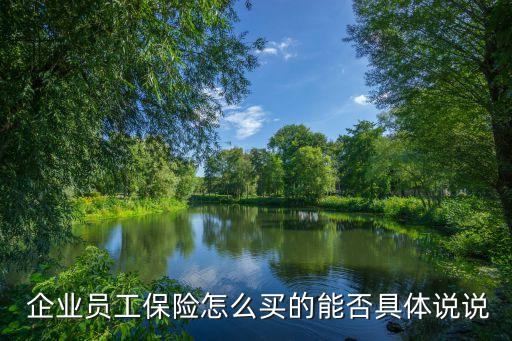  企業(yè)員工保險(xiǎn)怎么買(mǎi)的能否具體說(shuō)說(shuō)