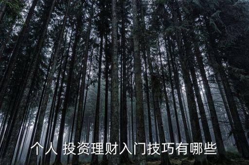 個(gè)人 投資理財(cái)入門技巧有哪些