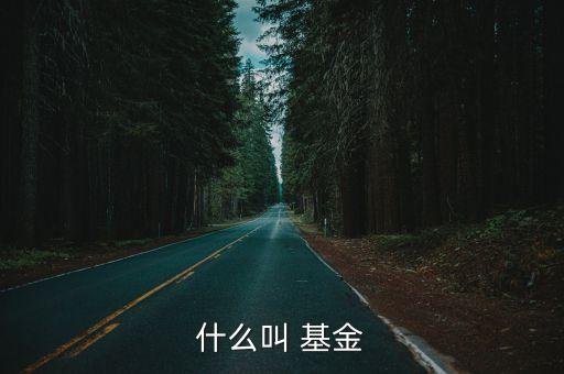 10個基金單位,基金凈值的單位