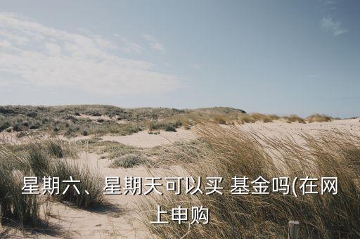 星期六、星期天可以買 基金嗎(在網上申購