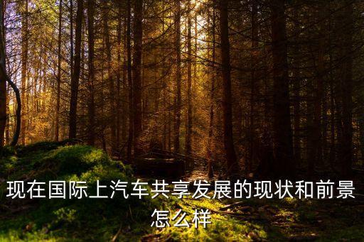 現(xiàn)在國(guó)際上汽車共享發(fā)展的現(xiàn)狀和前景怎么樣