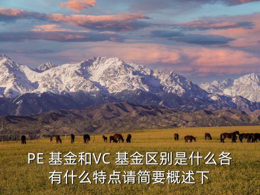 PE 基金和VC 基金區(qū)別是什么各有什么特點(diǎn)請簡要概述下