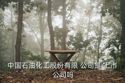 頁(yè)巖氣開(kāi)發(fā)上市公司,四川頁(yè)巖氣開(kāi)發(fā)的重要地區(qū)是哪里?