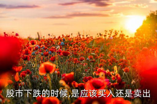 大盤(pán)跌時(shí)股票賣(mài)給誰(shuí),最近股票大盤(pán)為什么跌這么厲害